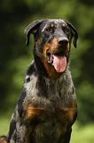 BEAUCERON 797